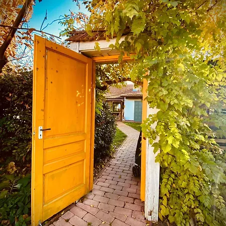 Kicsi Golya 1 Lägenhet Tiszafüred