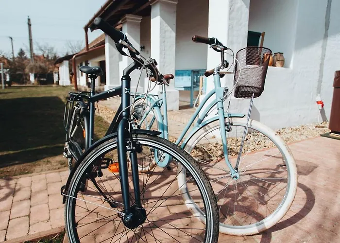 Kicsi Golya 1 * Tiszafüred