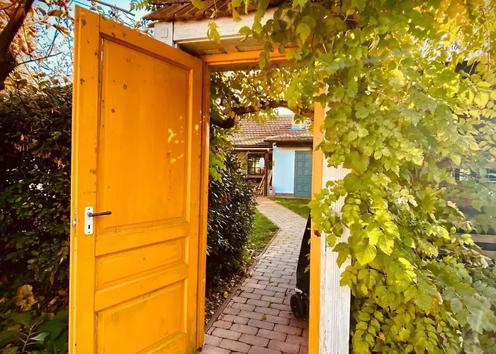 Kicsi Golya 1 Lägenhet Tiszafüred